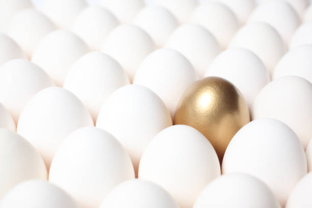 istock Golden Egg Standing Out from a Crowd of Ordinary Eggs 185309012
