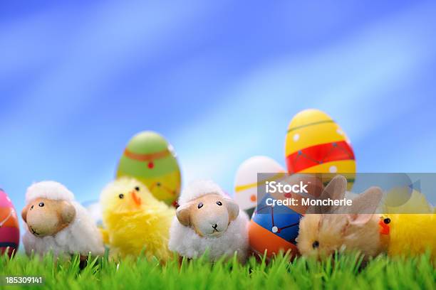 Colorful Easter Decoration Stock Photo - Download Image Now - Agricultural Field, Animal, Animal Egg