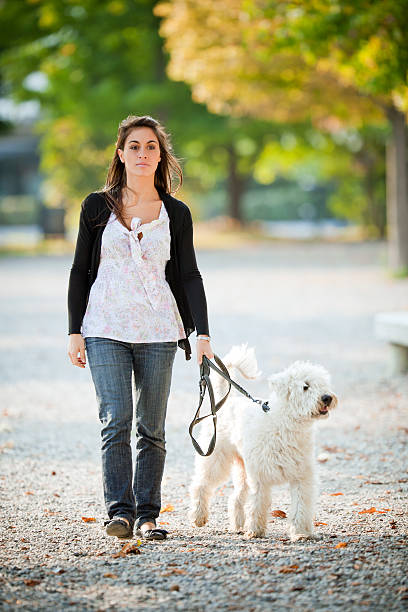 istock Young woman with her dog 185310069