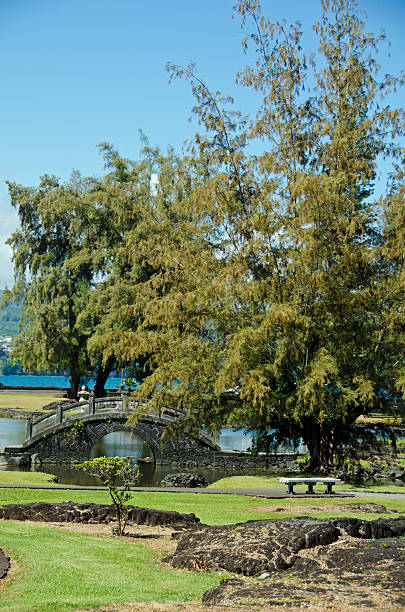 istock Liliuokalani Gardens Hilo 185310277