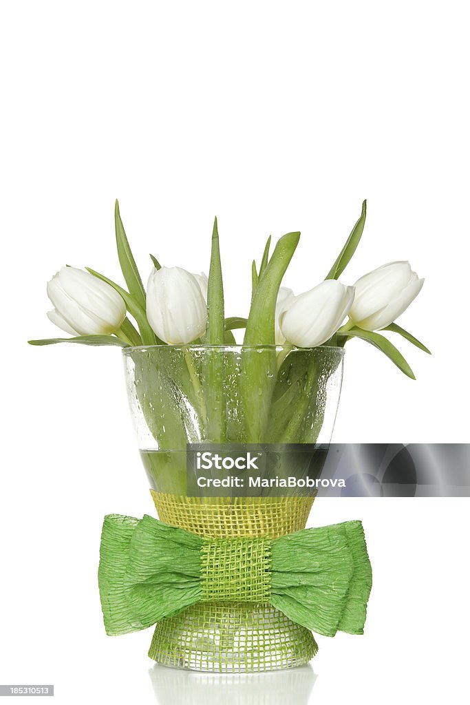 tulipani bianchi - Foto stock royalty-free di Acqua