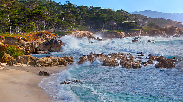 monterey bay - pebble beach california foto e immagini stock