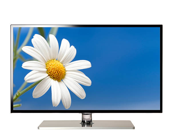 hi-def television with flower flat screen lcd television showing flowerFlower image is my photo as well there is no copyright issue. def picture photos stock pictures, royalty-free photos & images