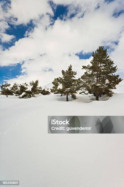 Winter Landscape Stock Photo - Download Image Now - Adventure, Beauty In Nature, Blue