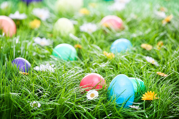 bunte ostern eier auf grünem gras dekoriert - easter egg fotos stock-fotos und bilder
