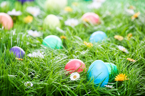 Colorful easter eggs on green grass