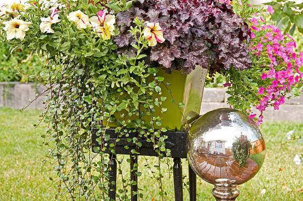 A menangerie of pansies, violets, hosta and ferns growing in pots alongside a doorstep.