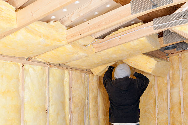 pracownik instalacja akumulatora izolację między włókna szklanego dachu na gałązkach - insulation roof attic home improvement zdjęcia i obrazy z banku zdjęć