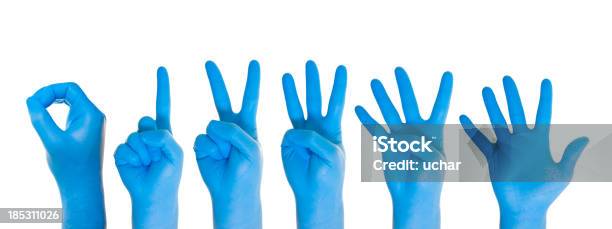 Hand Counting And Number Collection Stock Photo - Download Image Now - Two Fingers, Blue, Protective Glove