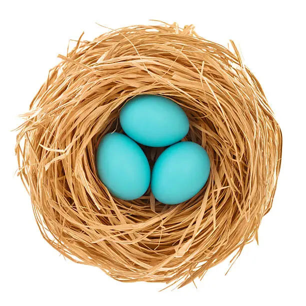 Blue easter eggs on straw from directly above isolated on white.Related pictures: