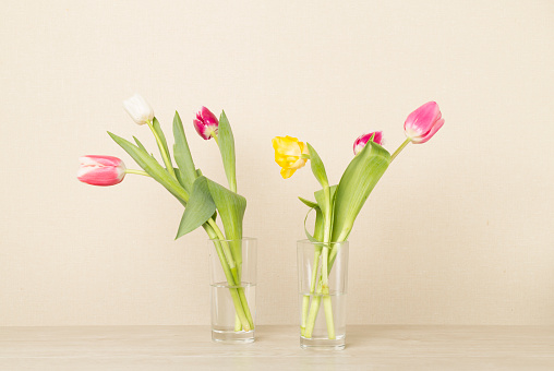 Tulip flowers in vases on wooden table
