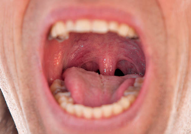 male throat - mensentong stockfoto's en -beelden