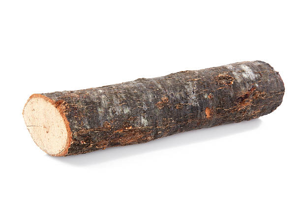 leña - lumber industry tree log tree trunk fotografías e imágenes de stock