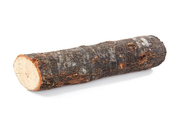 Firewood Firewood on white background wood log close up stock pictures, royalty-free photos & images