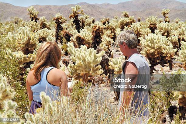 Uomo E Donna Nel Giardino Di Cactus Cholla - Fotografie stock e altre immagini di Coppia di età matura - Coppia di età matura, Escursionismo, Deserto