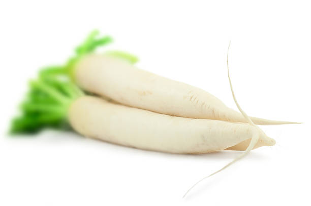 daikon rábanos - radish dikon radish vegetable exoticism fotografías e imágenes de stock