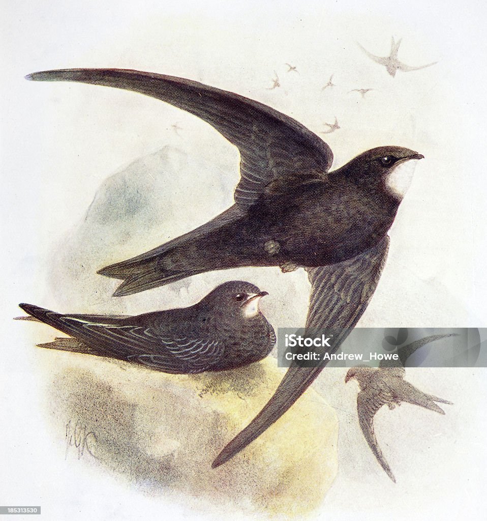 Minh Họa Nhanh Chóng Hình minh họa Sẵn có - Tải xuống Hình ảnh ...