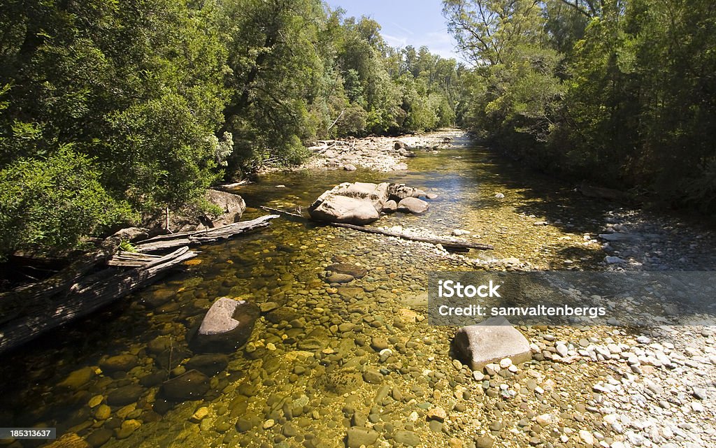 Franklin River - Royalty-free Austrália Foto de stock