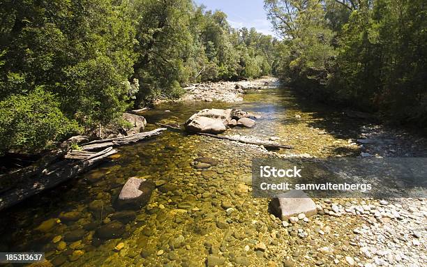 Franklin River - Fotografias de stock e mais imagens de Austrália - Austrália, Rio, Hobart