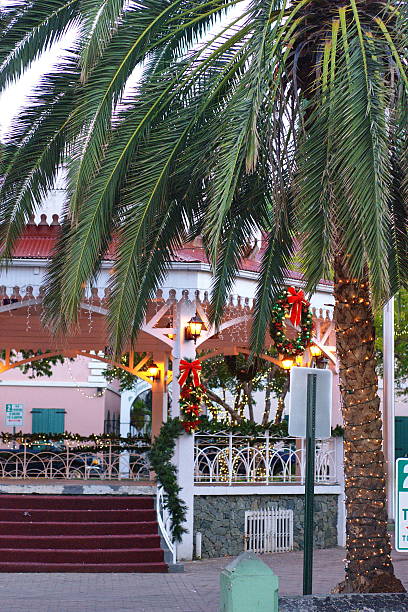 This downtown gazebo and palm tree in Frederiksted, St. Croix is decorated with lights and garlands for the Christmas holiday celebrated on this island.