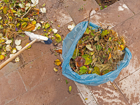 Leaves fallen in the garden in autumn were put in a rubbish bag.