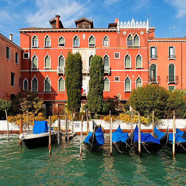 Historical palaces along the Grand Canal of Venice.