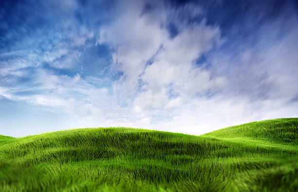 Green field over blue moody sky