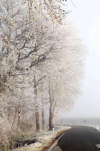 istock A Winding Road on a White Winter Day 185317441