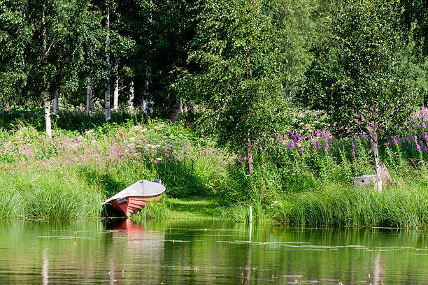 istock Lake Topinlampi 185317566