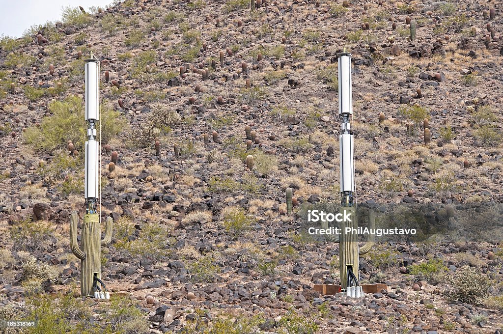 Cellule sites déguisés en Cactus saguaro - Photo de Accessoire de déguisement libre de droits