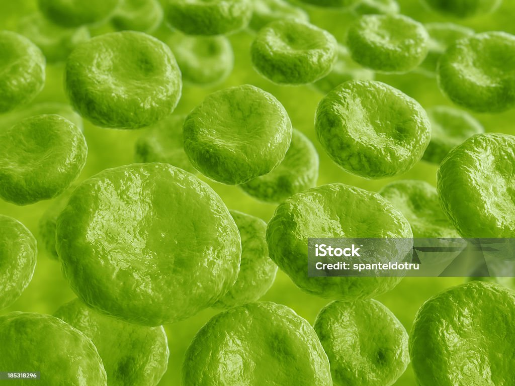 Dentro de una planta. - Foto de stock de Abstracto libre de derechos