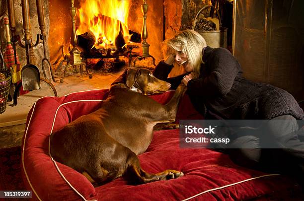 Przytulnym Kominkiem Czatu - zdjęcia stockowe i więcej obrazów Doberman - Doberman, Fotografika, Horyzontalny