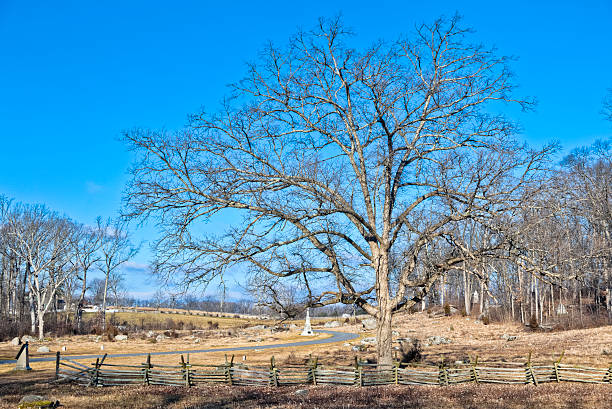 istock Gettysburg Battlefield Barricade Fence, Trees and Monument 185319609