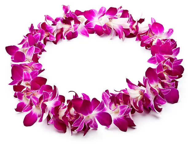 Photo of Lei made of purple orchids on white background