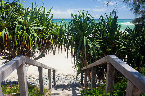 wategoes beach boardwalk schritte, byron bay, australien - screwpine stock-fotos und bilder