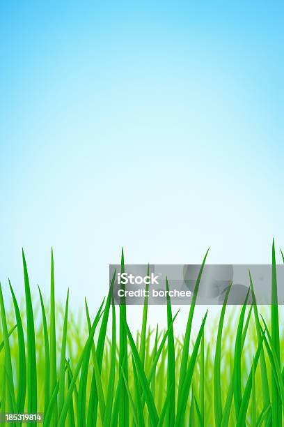 Primavera De Pasto - Fotografias de stock e mais imagens de Ao Ar Livre - Ao Ar Livre, Azul, Beleza