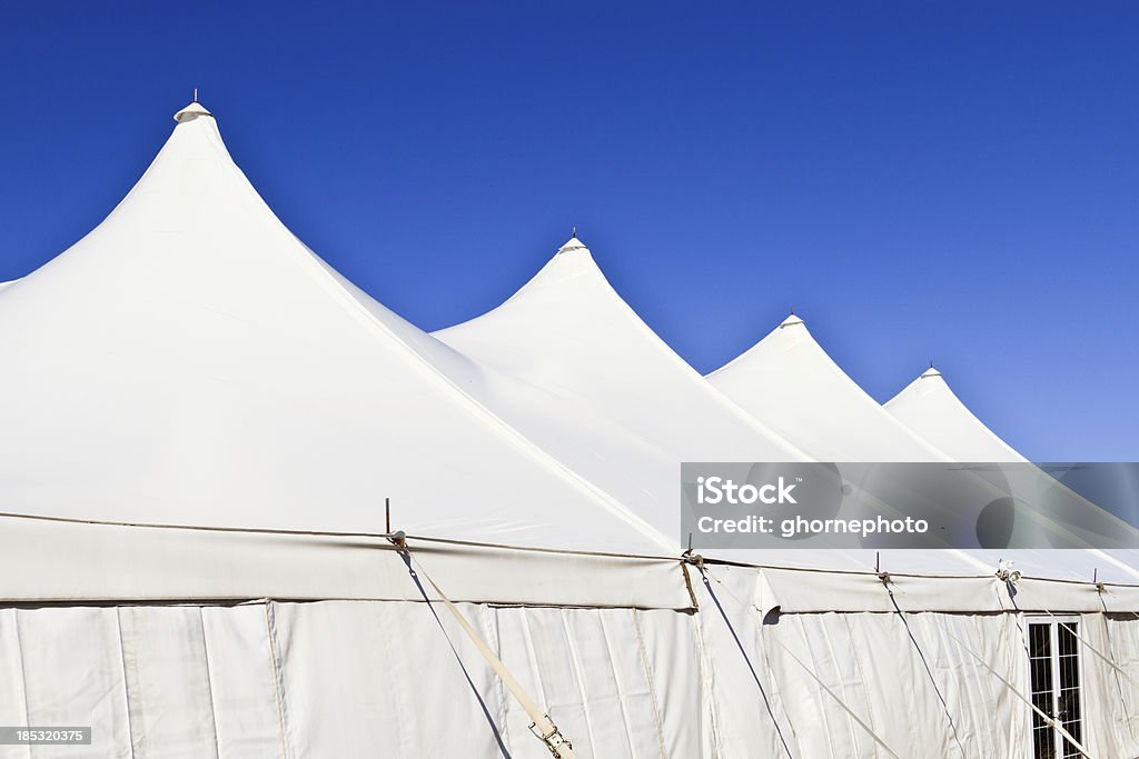 Carpa blanco - Foto de stock de Acontecimiento libre de derechos