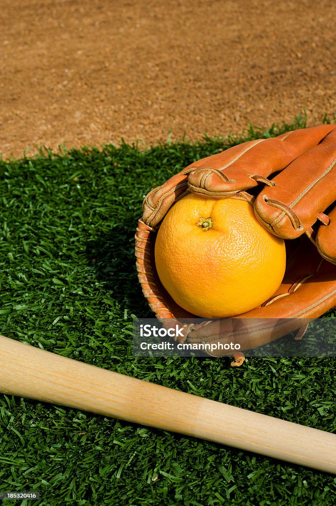 Baseball Grapefruit League Baseball - Grapefruit League. The start of a new season with spring training in Florida. Baseball Bat Stock Photo