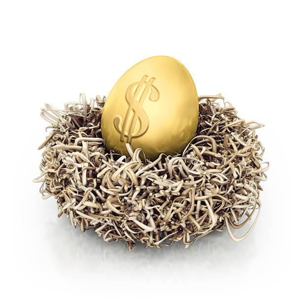 golden egg - animal egg golden animal nest nest egg zdjęcia i obrazy z banku zdjęć