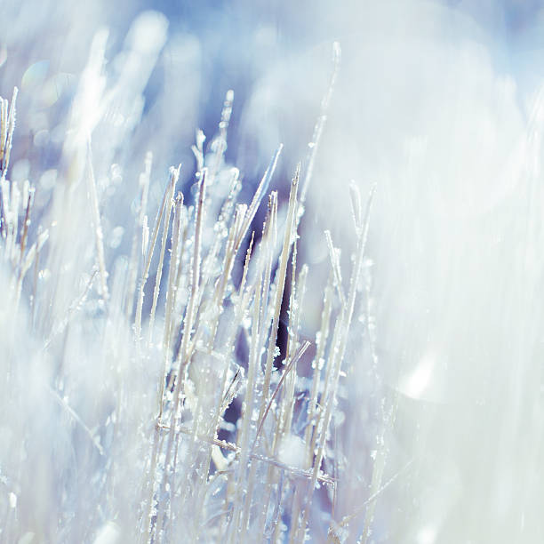 Grass covered ice crystal.
