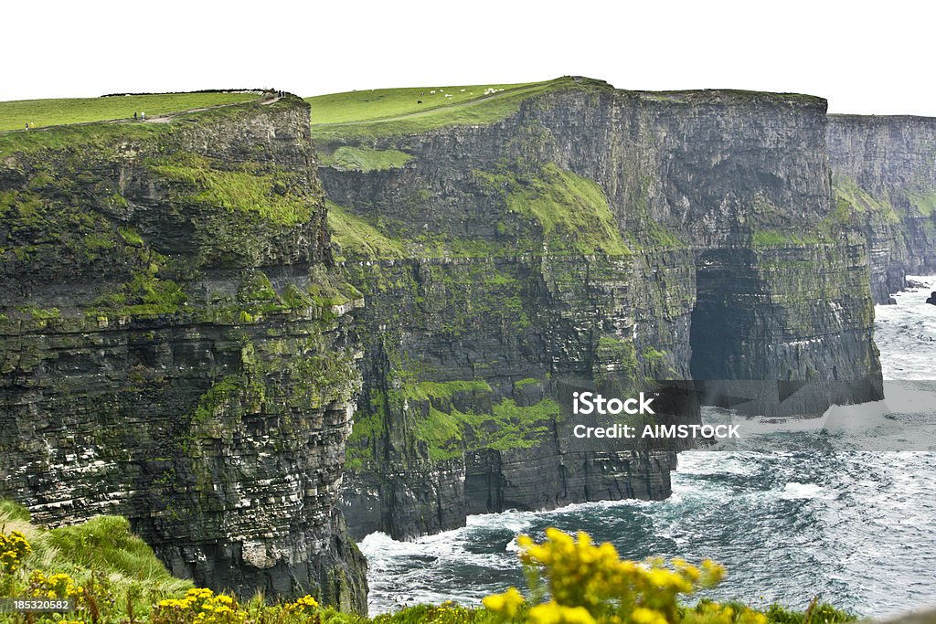 Irlanda-acantilados de Moher - Foto de stock de Acantilado libre de derechos