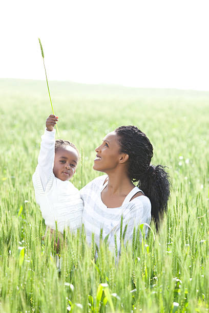 istock Outdoor In rye field. 185320660