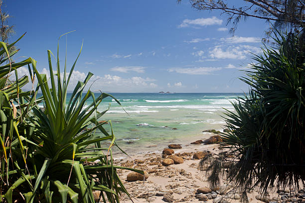 istock Wategoes Beach, Byron Bay, Australia 185320976