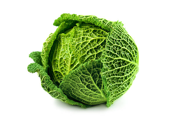 cabbage stock photo