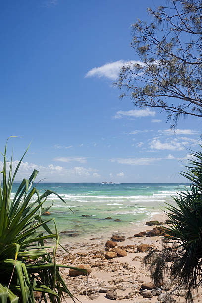 istock Wategoes Beach, Byron Bay, Australia 185321112