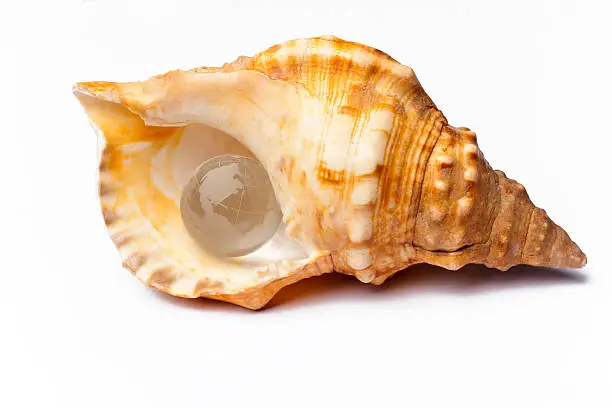 World in a Shell