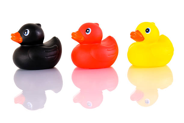 German black red golden ducks