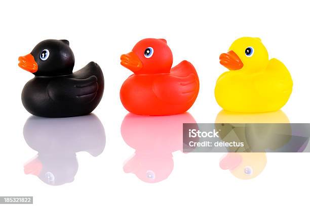 German Black Red Golden Ducks Stock Photo - Download Image Now - Duck - Bird, Three Animals, Animal