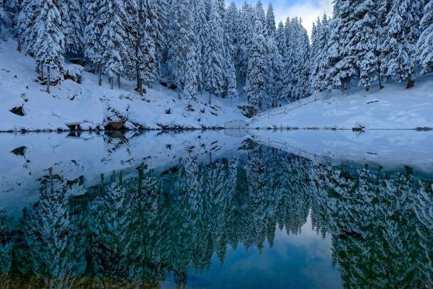 istock Reflection of snow covered trees at the lake 1853219954
