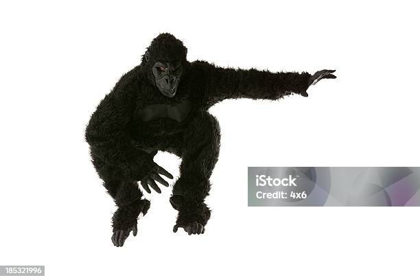 남자 뛰어내림 In Gorilla 애꾸눈 고릴라에 대한 스톡 사진 및 기타 이미지 - 고릴라, 스튜디오 촬영, 20-29세